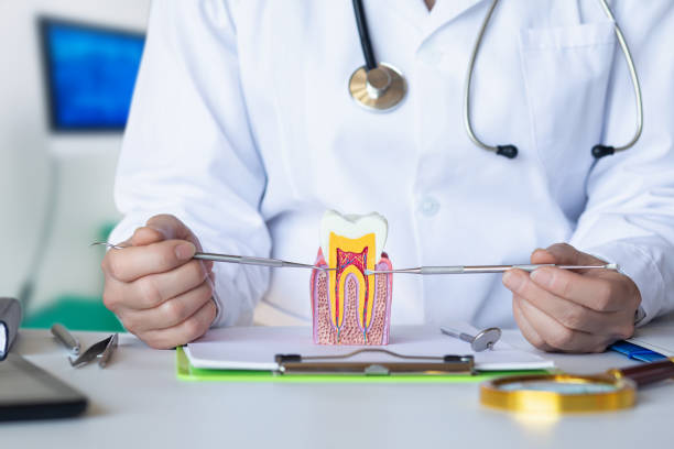 Best Urgent Dental Care for Toothache in White Pigeon, MI